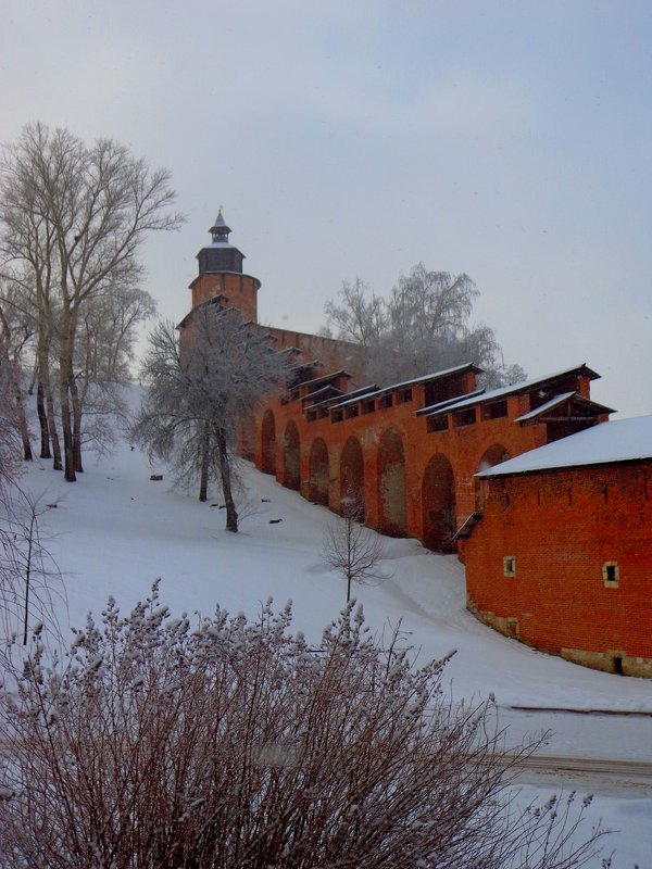 Кремлевские стены - Наталья Сазонова