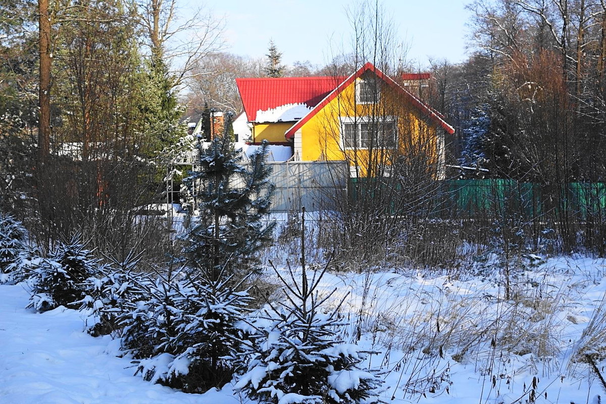 Зима в городе - Маргарита Батырева