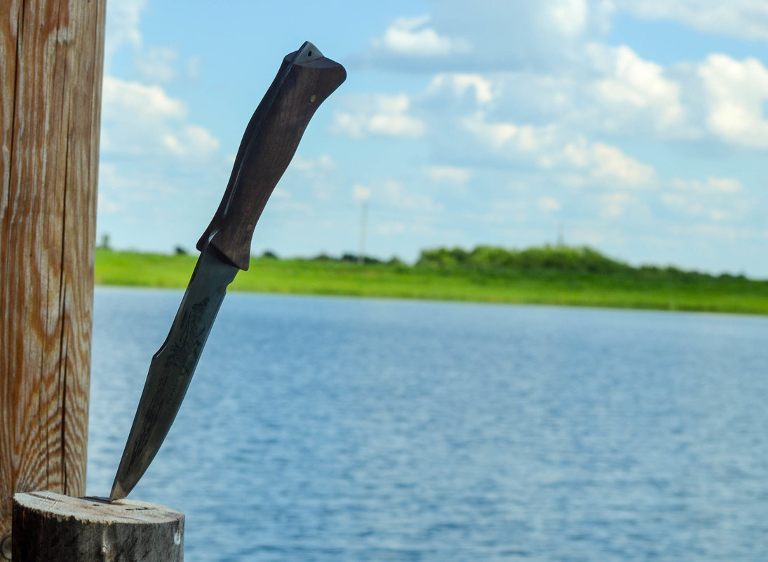 . - Евгения Трушкина