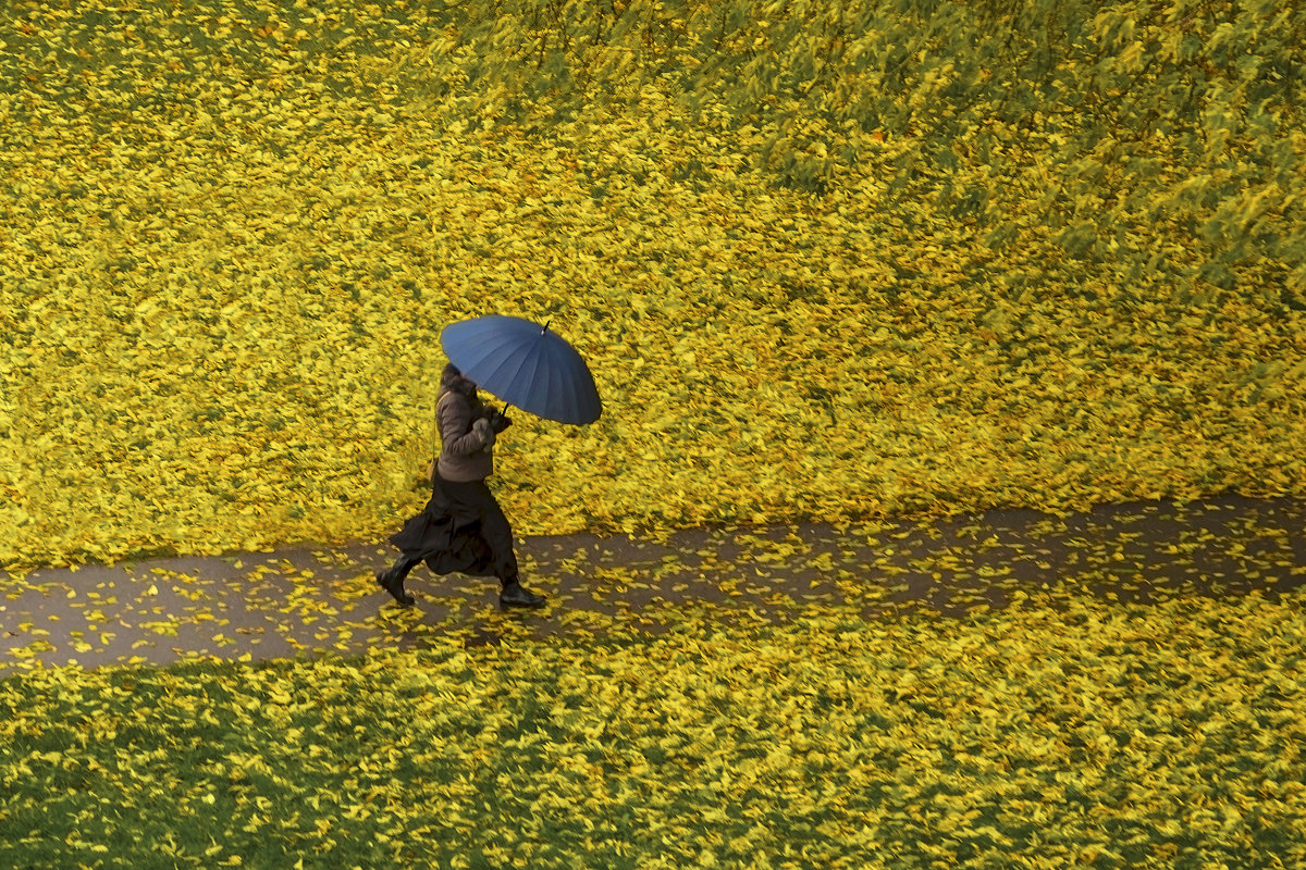 Летящей походкой..... - shvlad 