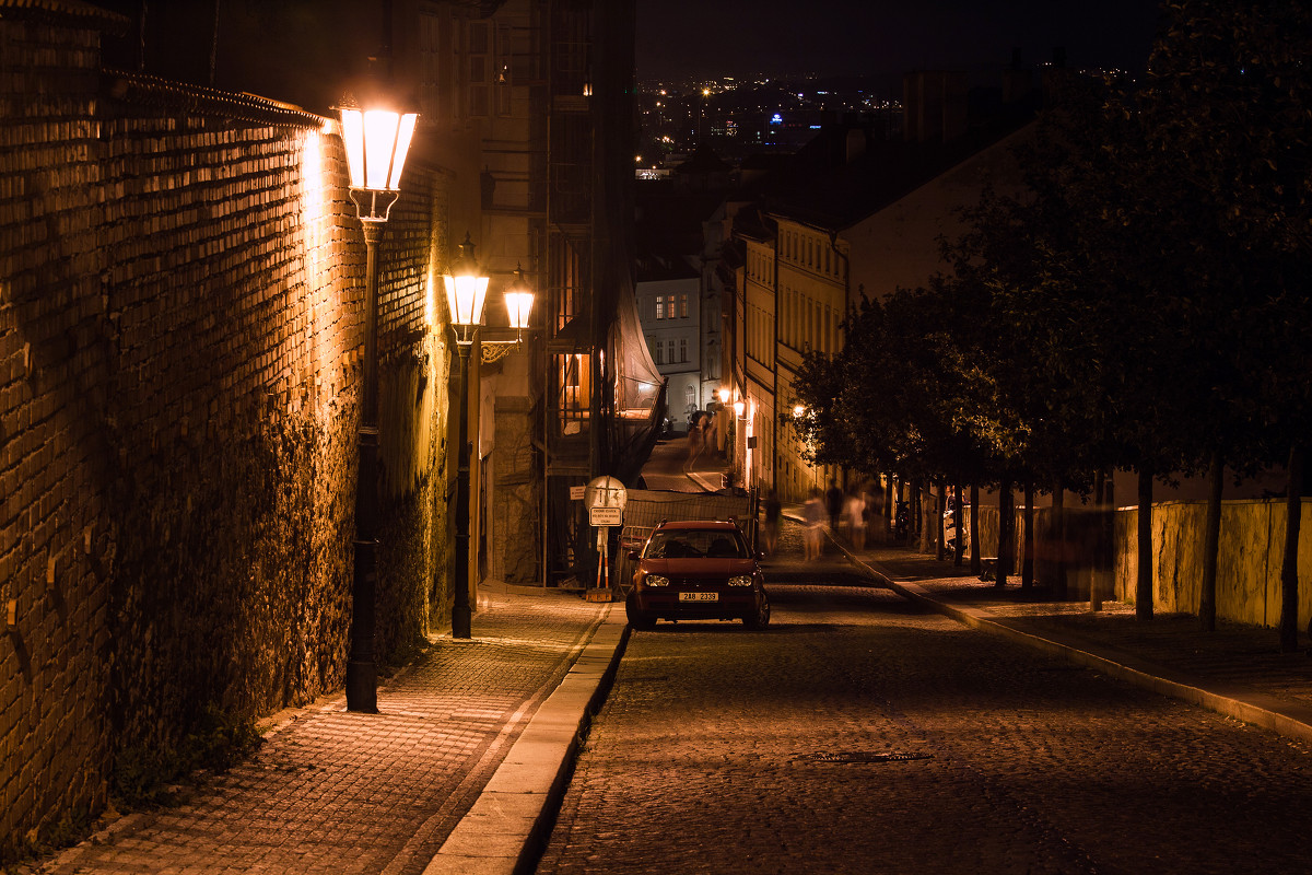 Прага 2013 - Александр Шнайдер