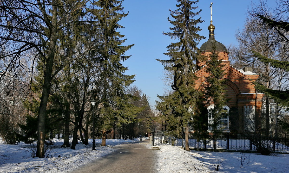 В дендропарке 2. - Пётр Сесекин