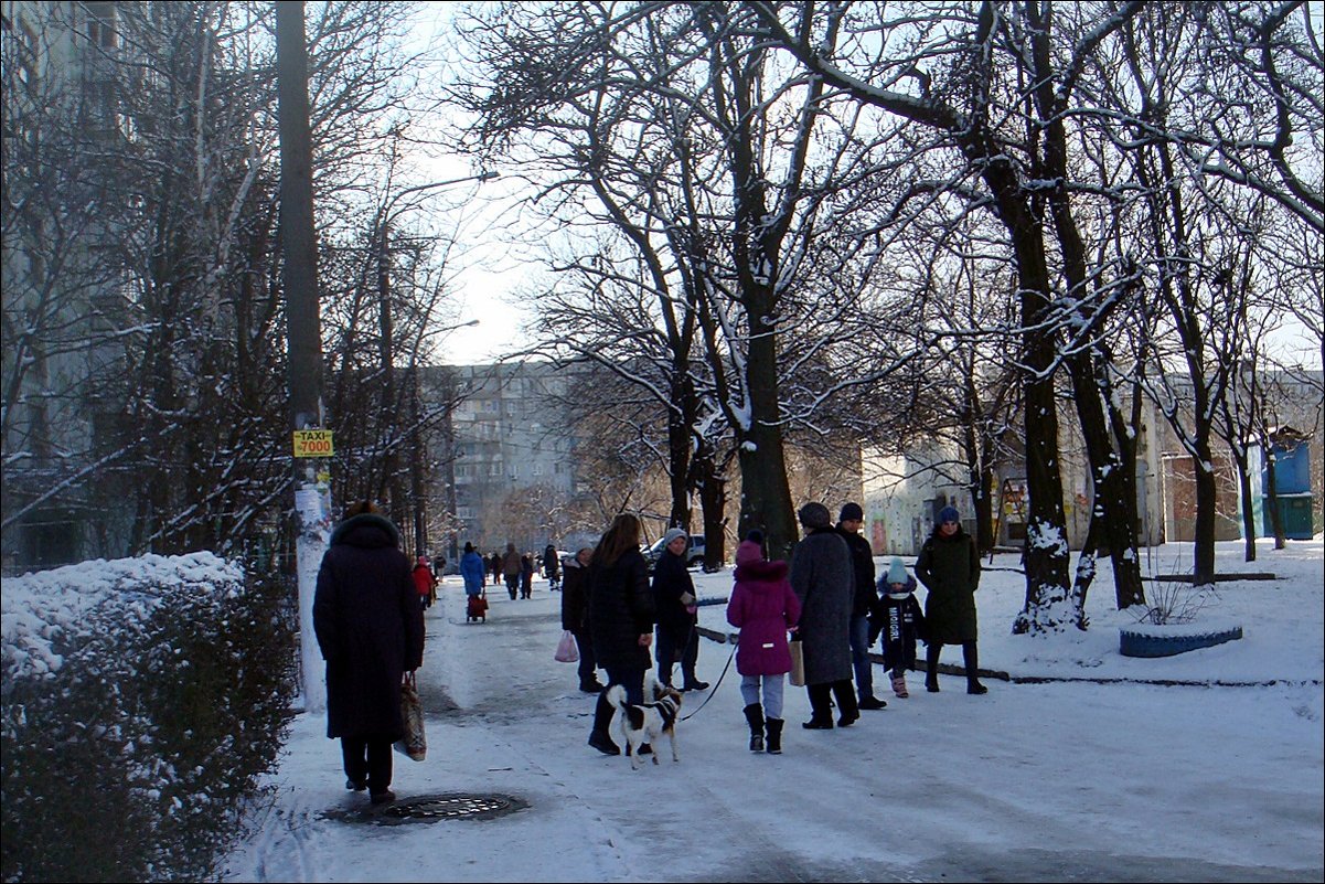 Оживлённое движение в нашем дворе - Нина Корешкова