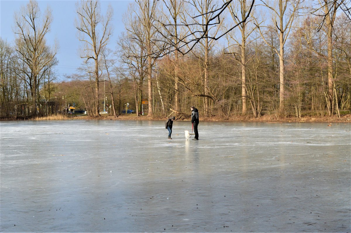 25.2.18. - Schbrukunow Gennadi