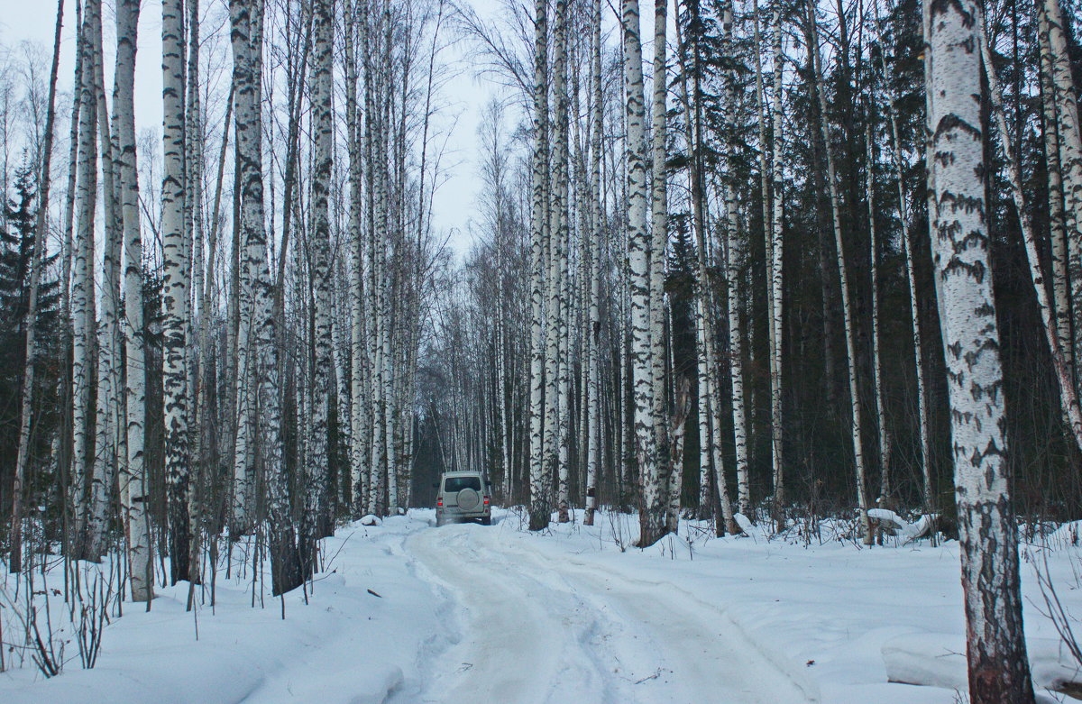 *** - val-isaew2010 Валерий Исаев