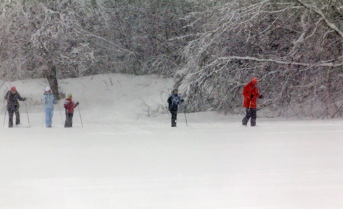 Лыжники - Александр 
