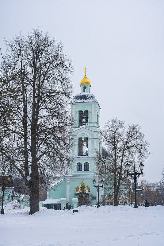 Москва. Царицыно. Март. - Игорь Герман