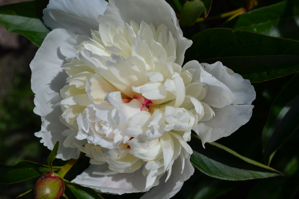 Будьте счастливы , друзья! - zoja Будьте счастливы , друзья! - zoja