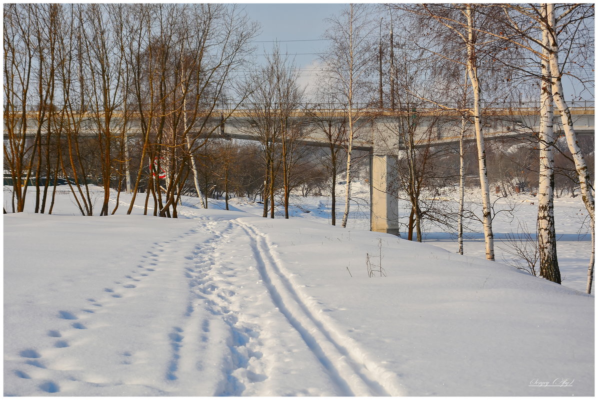 Тропа здоровья. - Sergey (Apg)