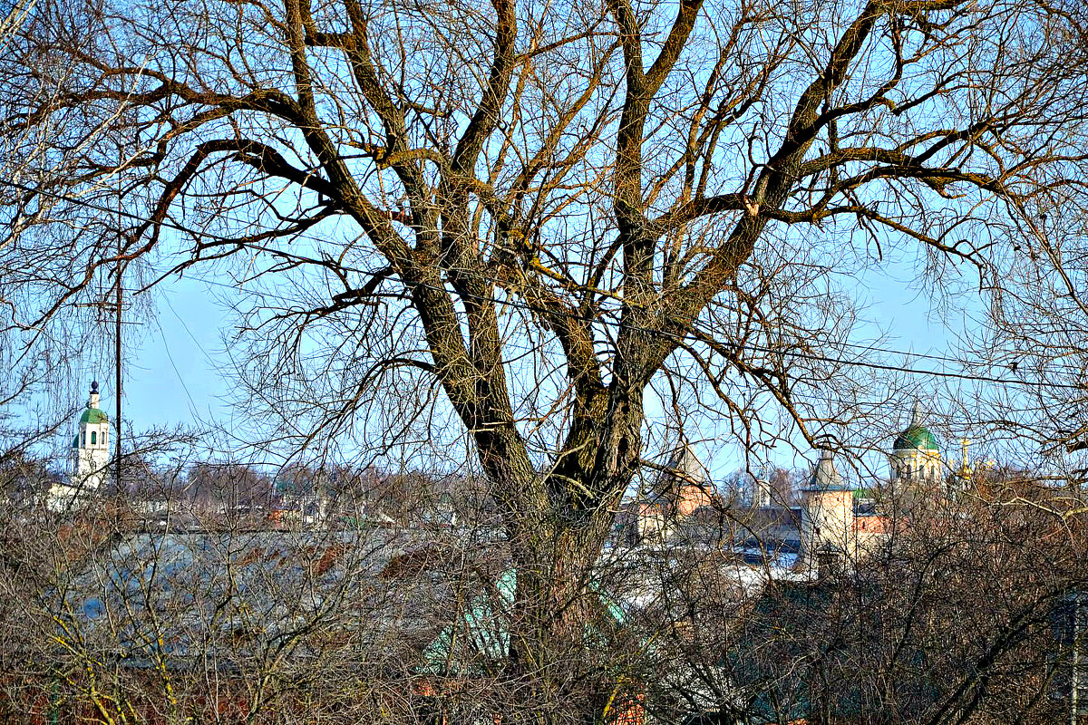 Апрельский Зарайский пейзаж. - Михаил Столяров