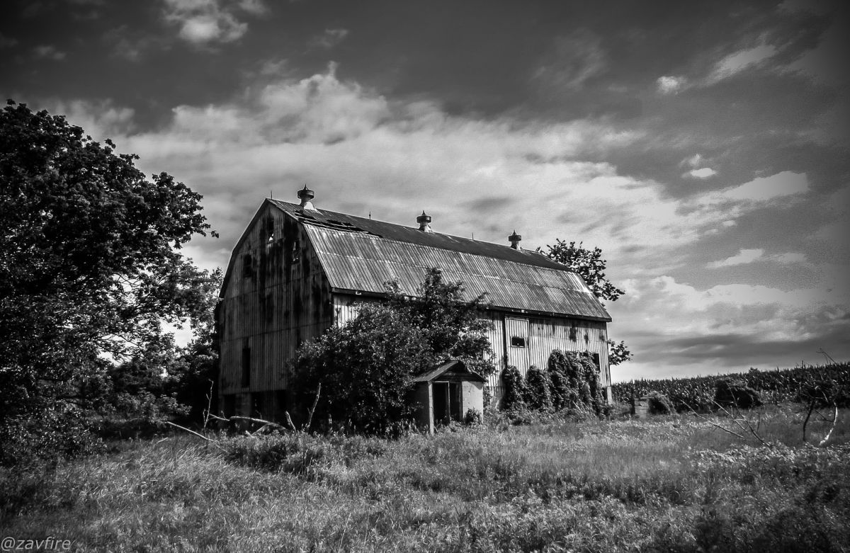 The Barn. - Andy Zav