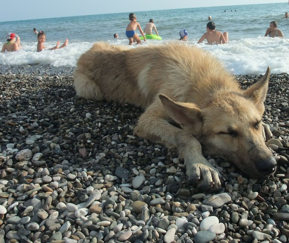 Иная жизнь - Елена Лукожева