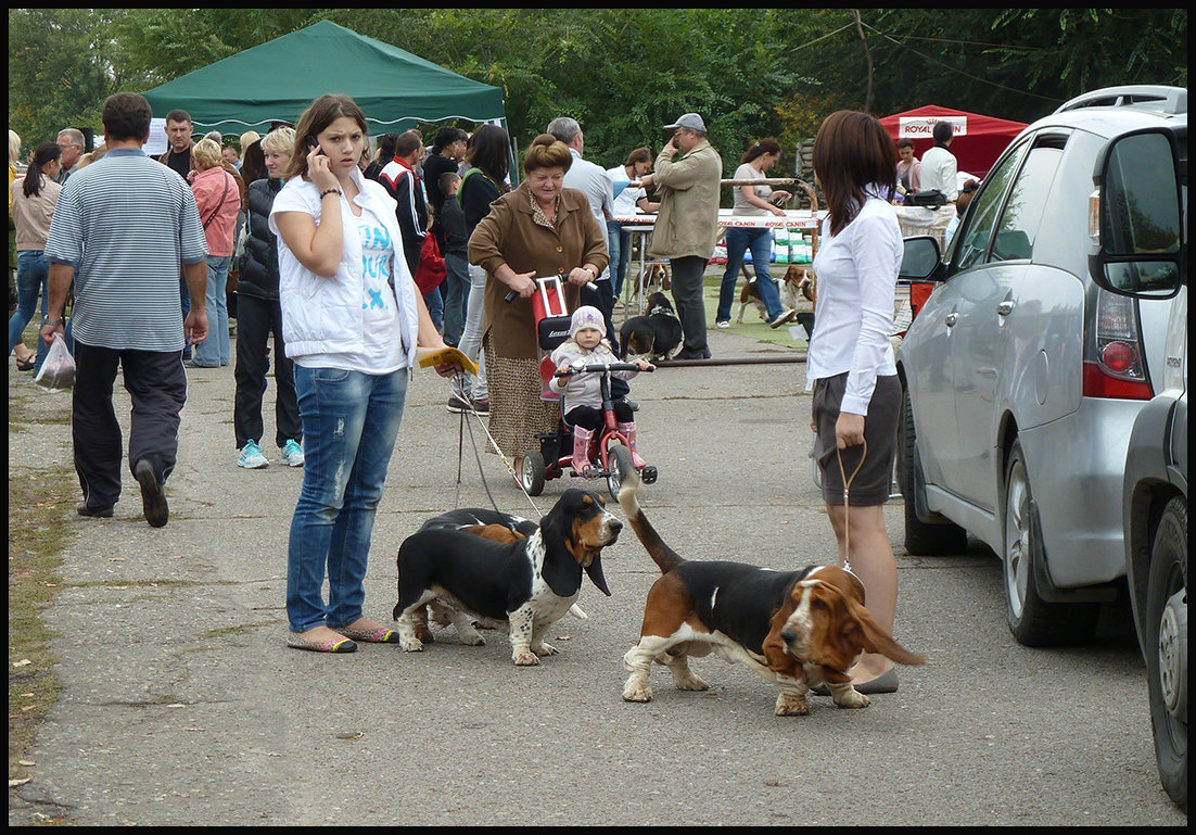 И ПОЧЕМУ СОБАЧКИ ТАК ПОХОЖИ НА ЛЮДЕЙ? - Юрий ГУКОВЪ И ПОЧЕМУ СОБАЧКИ ТАК ПОХОЖИ НА ЛЮДЕЙ? - Юрий ГУКОВЪ