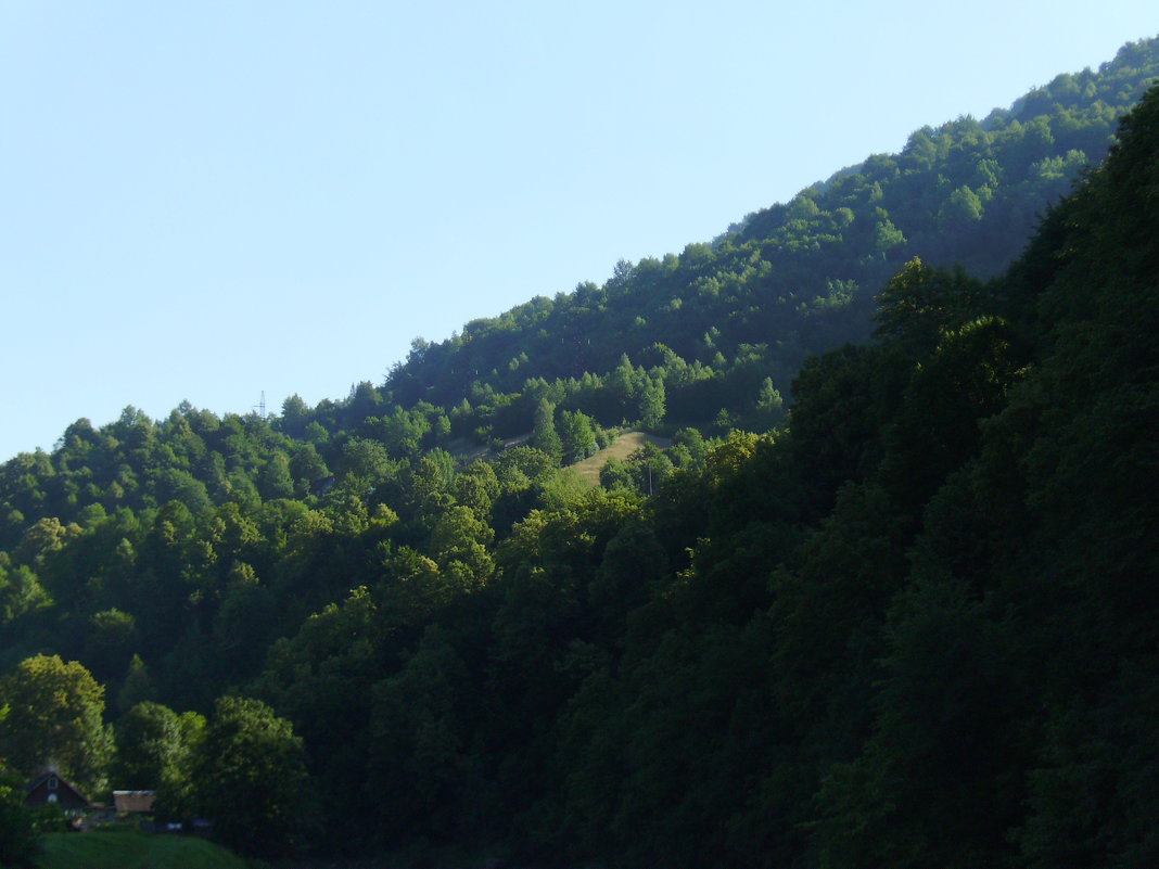 В Квасах - Андрей Васильевич Коляскин В Квасах - Андрей Васильевич Коляскин