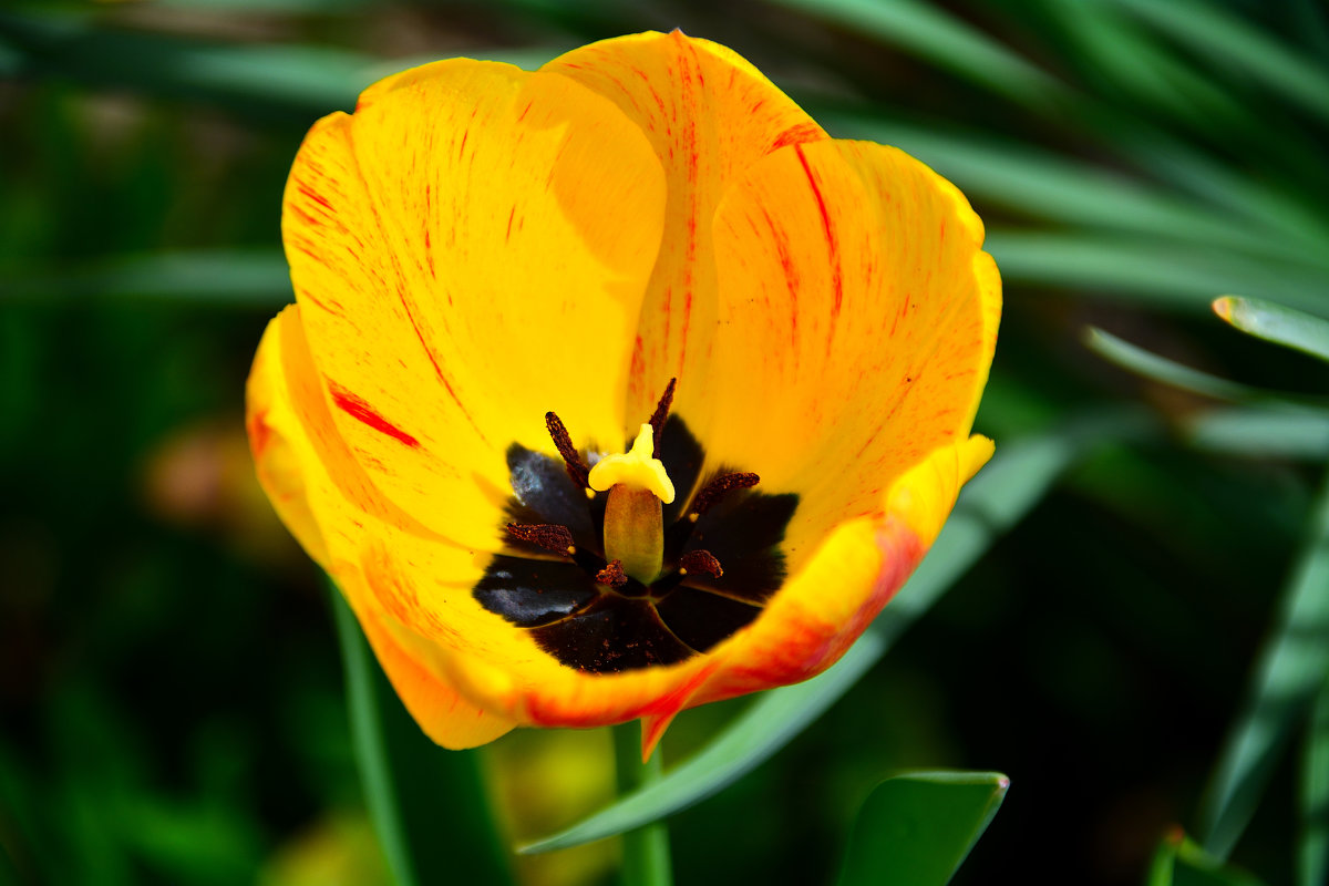 a - Sergej a - Sergej