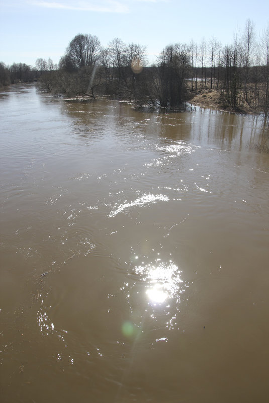 Солнечные зайчики в талой воде - Анатолий Кувшинов