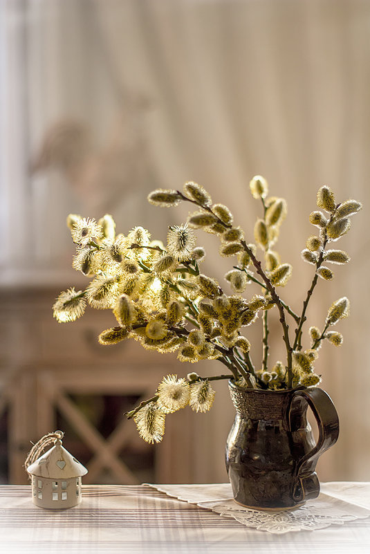 Весенний свет. - Bosanat 