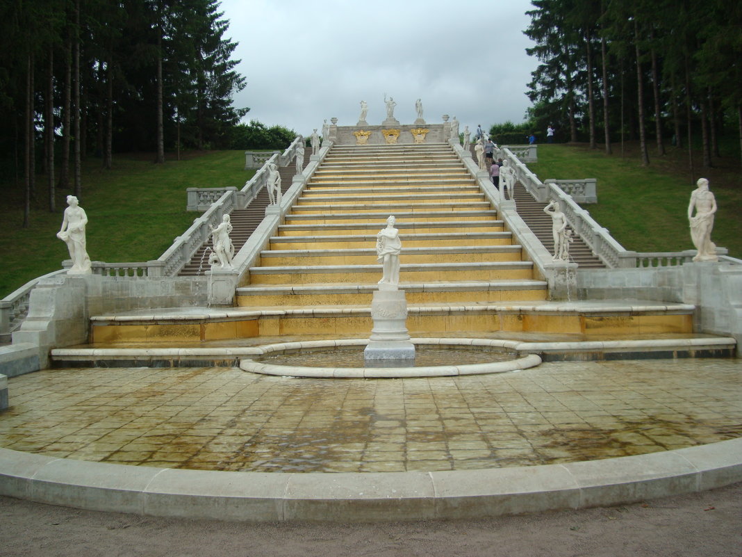 ... - марина ковшова 