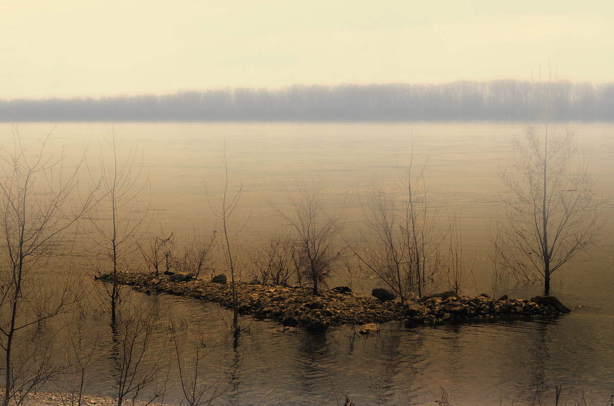 В тумане - Анатолий Уткин В тумане - Анатолий Уткин