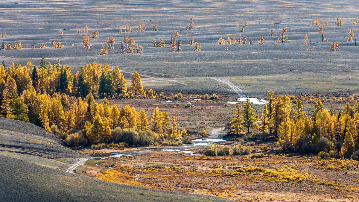 Золото Курая - Ник Васильев