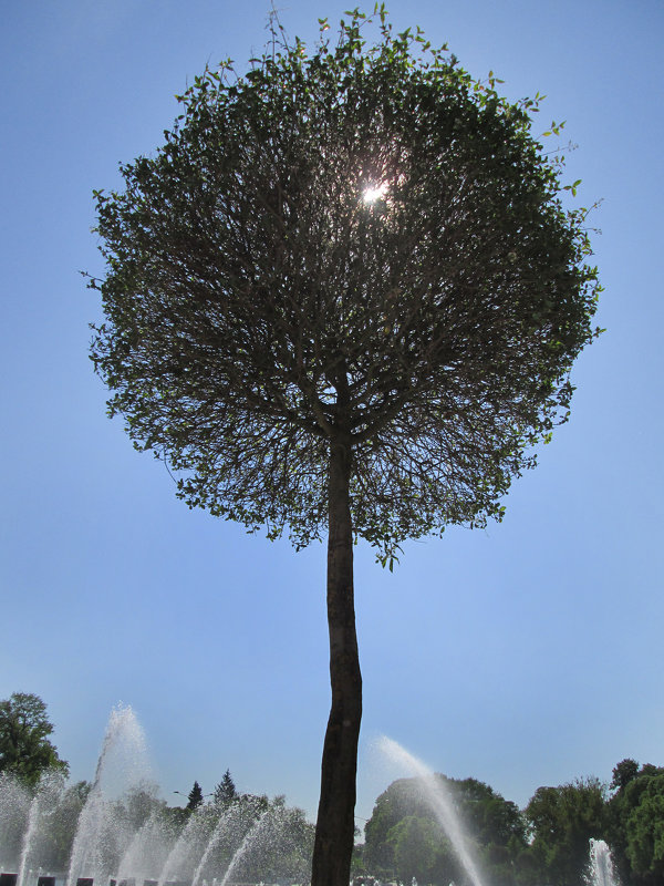 *** - Валентина Береснева *** - Валентина Береснева