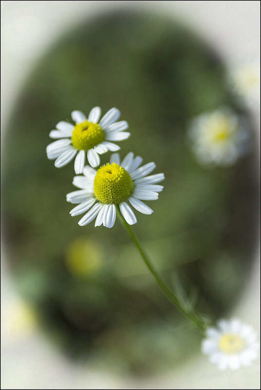 /// - Владимир Стаценко /// - Владимир Стаценко