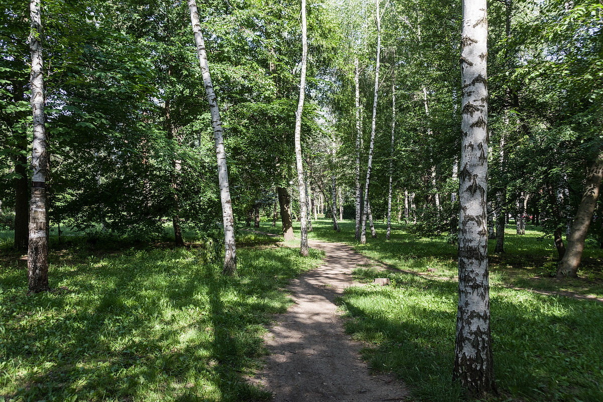 Тропинка в парке - НИКОЛАЙ .