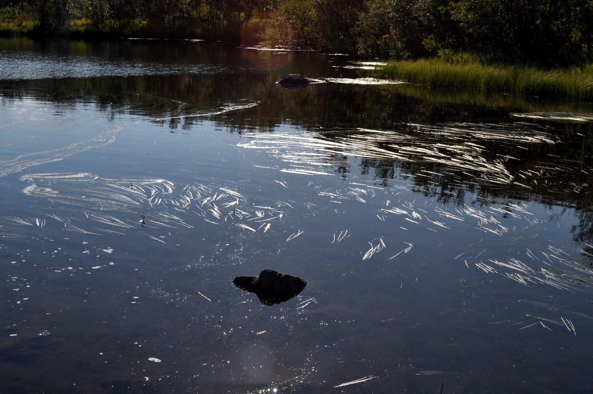 тихая заводь - вадим измайлов