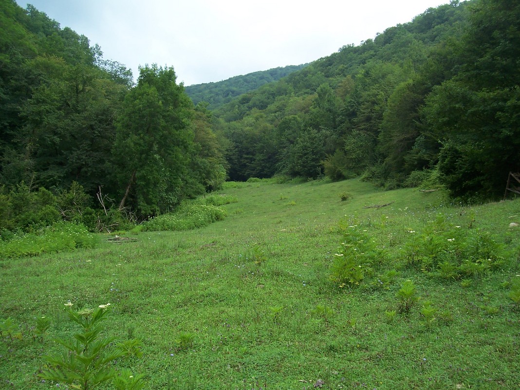 Зелёное море - Екатерина Зелёное море - Екатерина