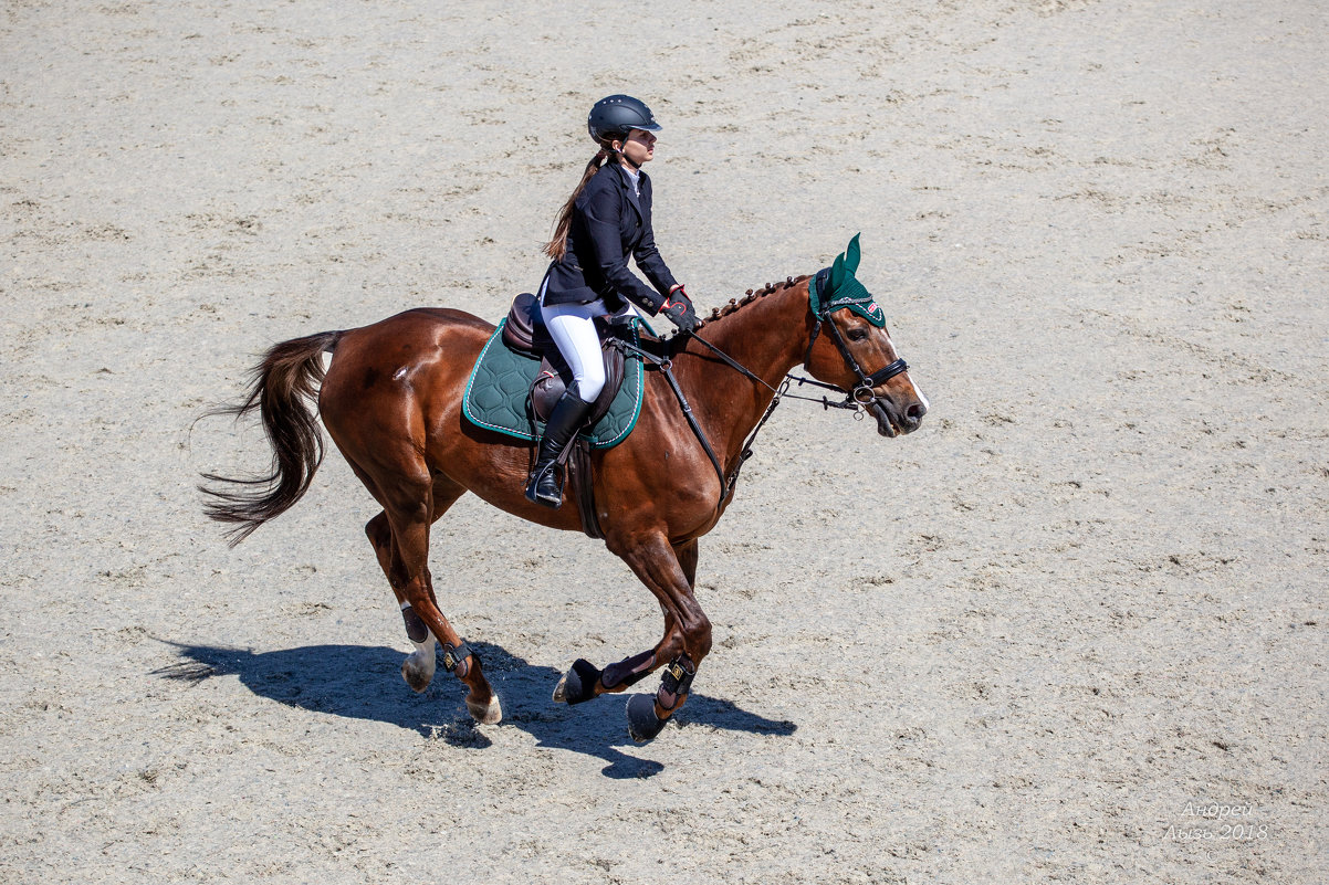 Конкур - Андрей Lyz