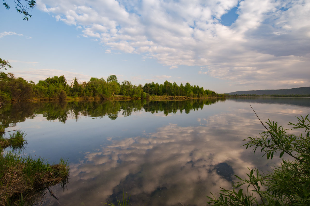 *** - Дмитрий 