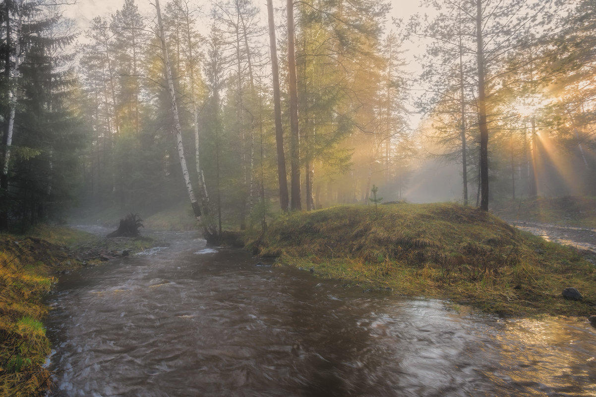 Туманный вечер - vladimir Bormotov