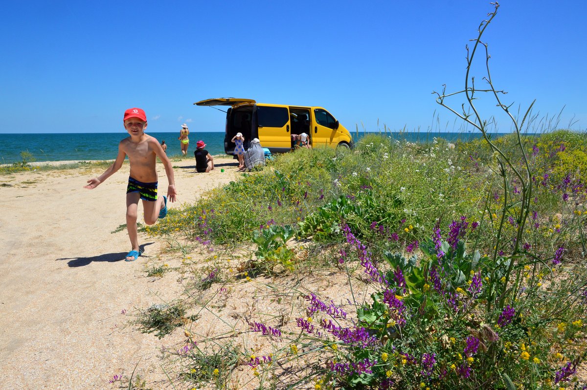 Арабатская Стрелка - Владимир Клюев
