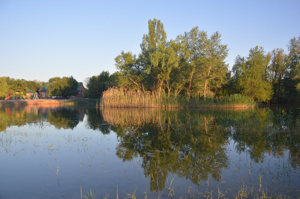 Красота вечера. - Виктор 