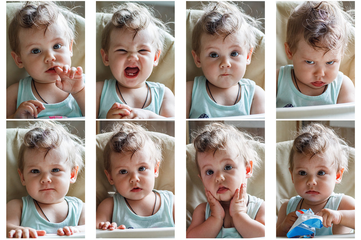 Кучка эмоций. - Николай Огуля