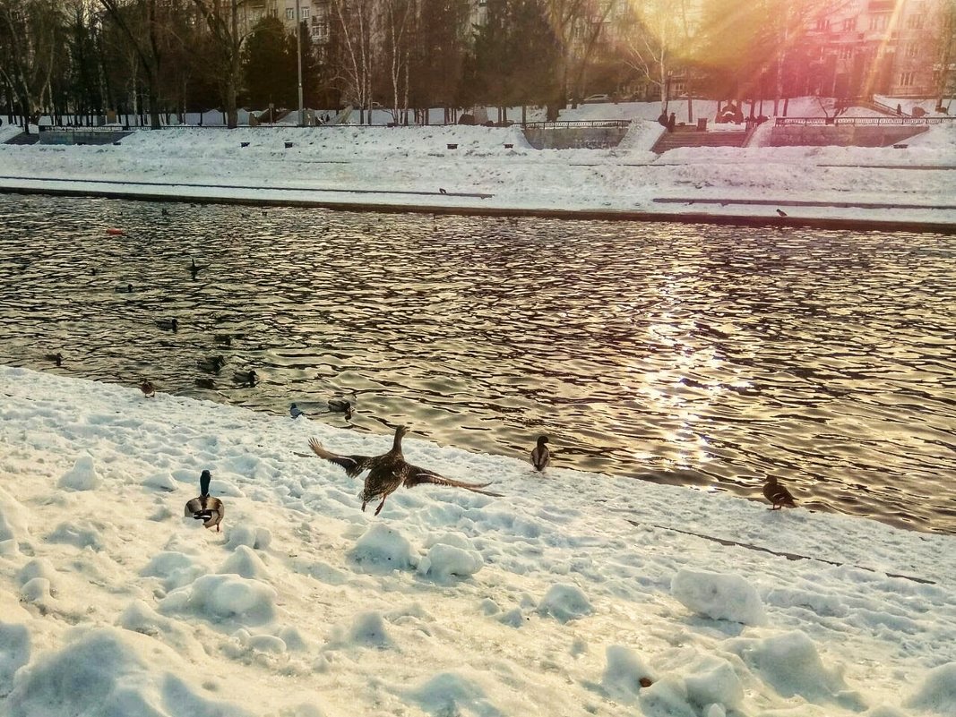 Екатеринбург. Плотинка - Лана Коробейникова