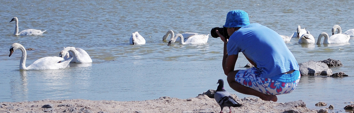 неизвестный фотограф - Полина Дюкарева