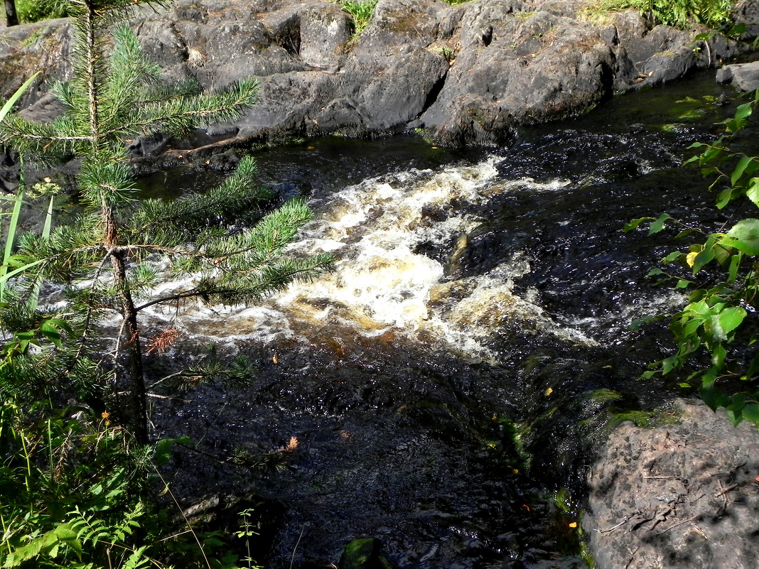 Вода и камень - Ольга Романова