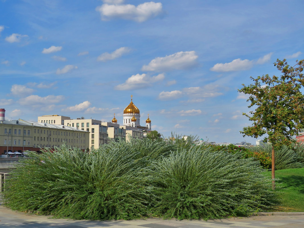 ___ - Yuriy V ___ - Yuriy V