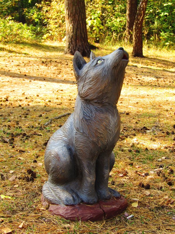 Волчок - Андрей Снегерёв