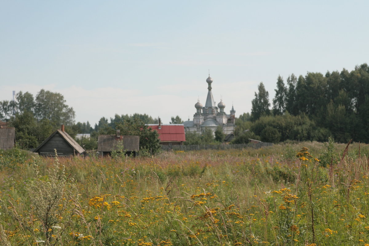 Густомесово. Церковь Успения Пресвятой Богородицы. Успенская церковь - Ирина Шурлапова