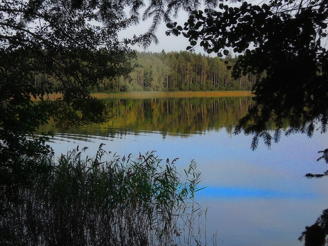 Озеро Глубля. - Александр Сапунов