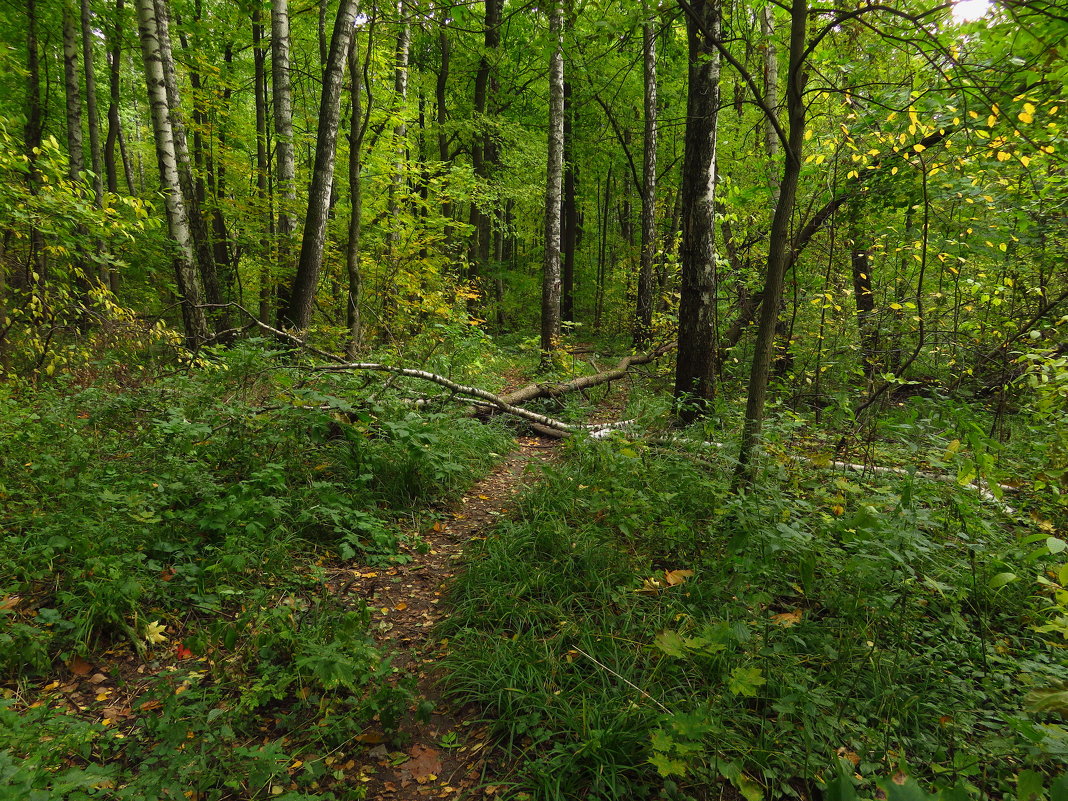 Мой путь на работу. Впереди - лекция для школьников на Физтехе - Андрей Лукьянов Мой путь на работу. Впереди - лекция для школьников на Физтехе - Андрей Лукьянов
