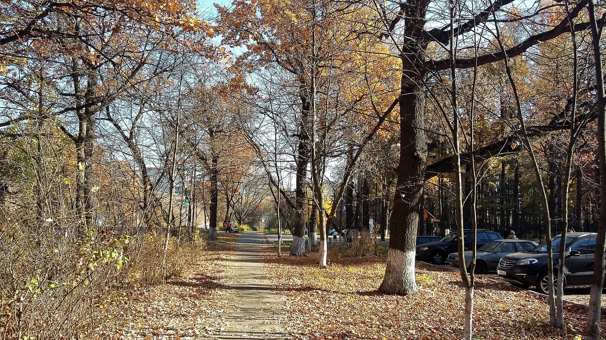 осень - Владимир Холодницкий