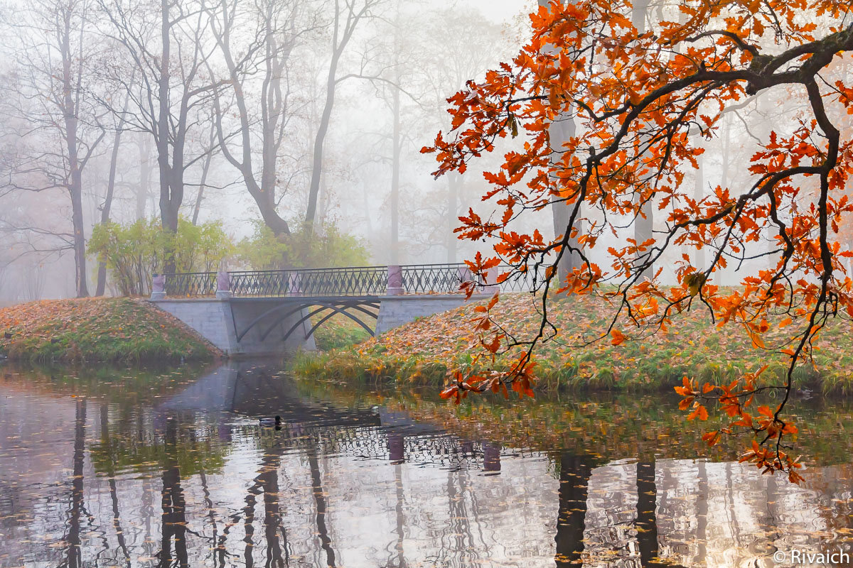 Осень - Сергей Залаутдинов Осень - Сергей Залаутдинов