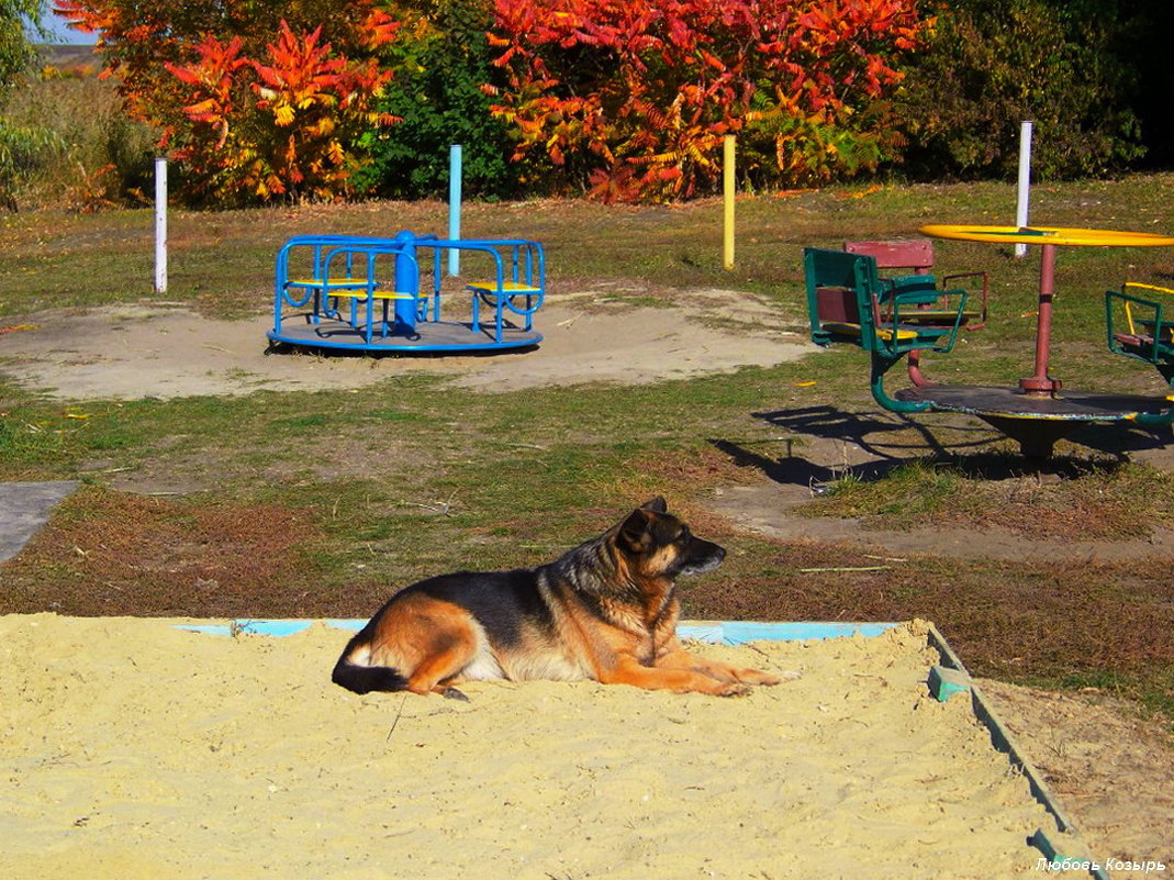 Я тут немного полежу на ваших деток погляжу.... - Любовь К. Я тут немного полежу на ваших деток погляжу.... - Любовь К.