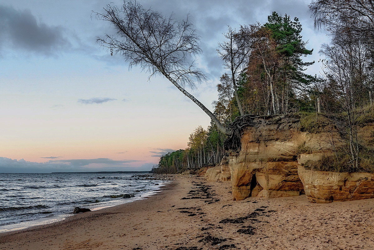 Latvia 2018 Vidzeme seaside - Arturs Ancans