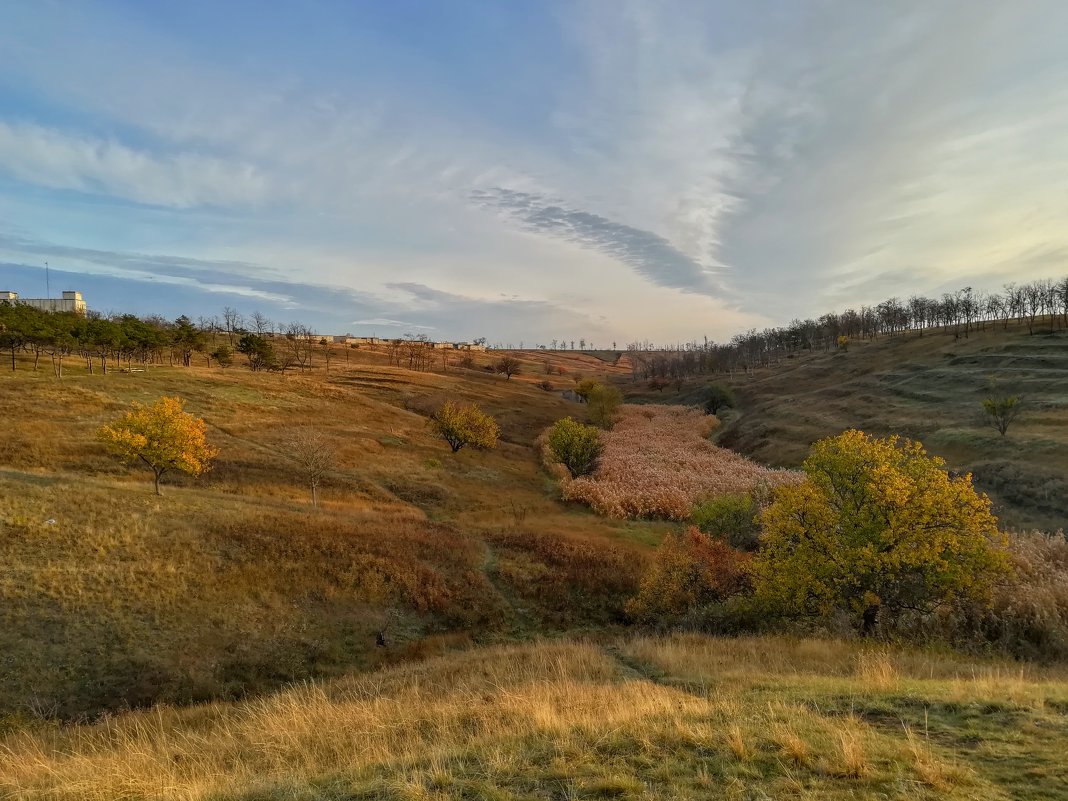 Ранняя пташка - Дмитрий фотограф