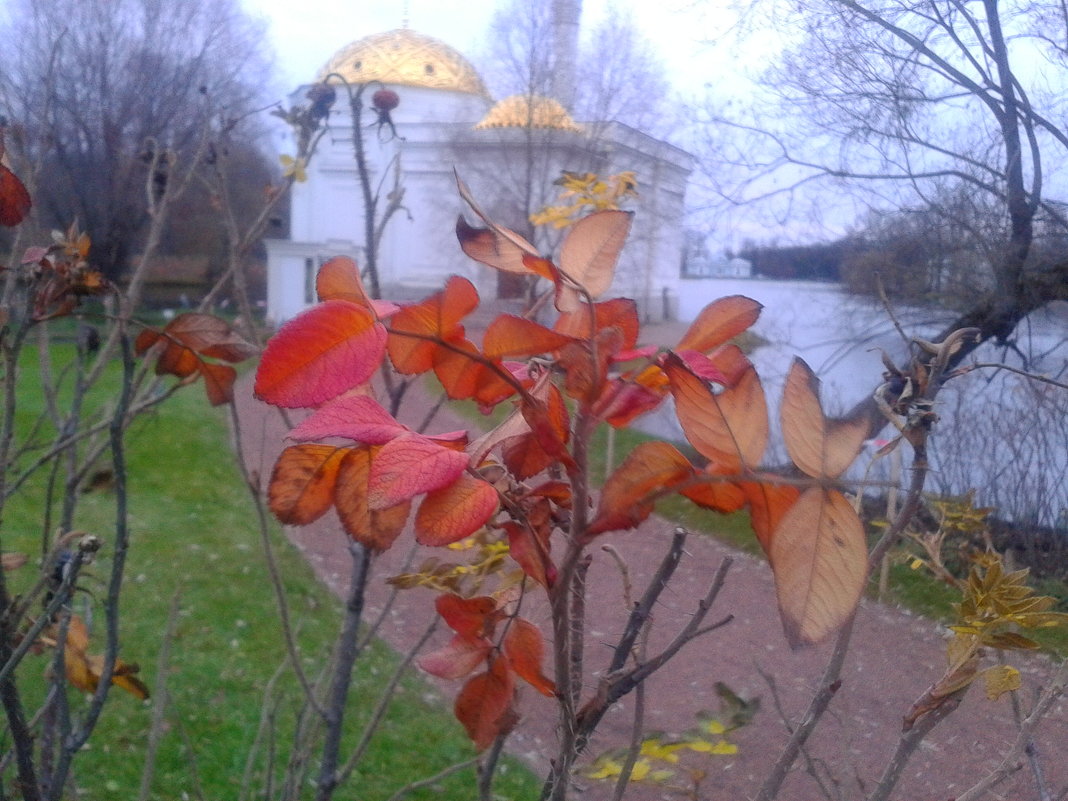 Осень - Сапсан 