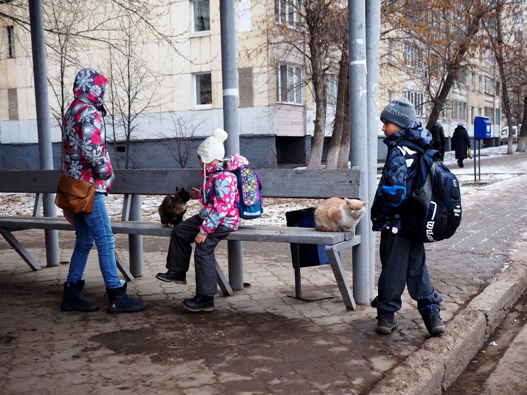 На остановке. - Ильсияр Шакирова